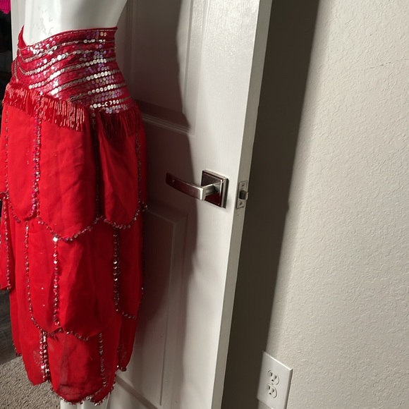Vintage Sequin beaded fringe Skirt - Picture 5 of 12